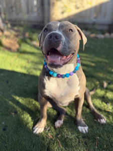 Cookie Monster Bead Collar