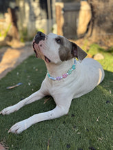 Load image into Gallery viewer, 🌼 Spring Fling Daisies 🌼 Silicone Bead Collar