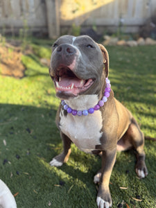 Purple Dream Bead Collar