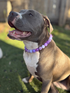 Purple Dream Bead Collar