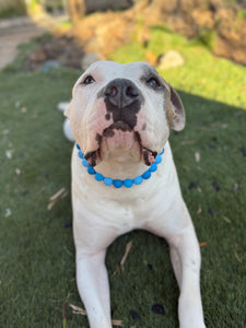 Blue Ombre Silicone Bead Collar