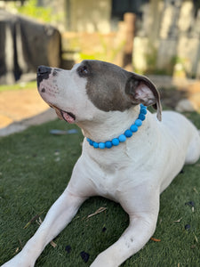 Blue Ombre Silicone Bead Collar