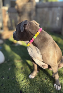 Citrus Sunrise Bead Collar