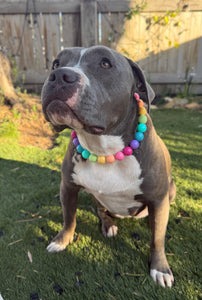 Boho Rainbow Acrylic Bead Collar