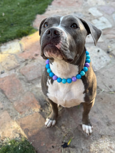 Blue & Purple Swirl Bead Collar