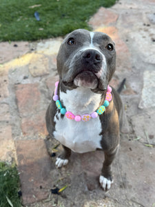 Easter Egg Bead Collar