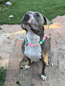 Easter Egg Bead Collar