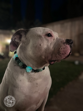 Load image into Gallery viewer, Ghostly Glow 👻 Bead Collar