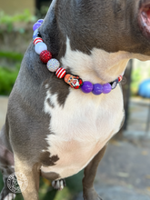Load image into Gallery viewer, The Conjuring Halloween Bead Collar