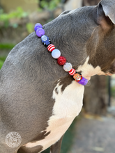 Load image into Gallery viewer, The Conjuring Halloween Bead Collar