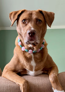 Bubblegum Waves Coin Bead Collar