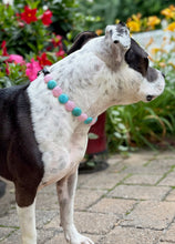 Load image into Gallery viewer, Bubblegum Waves Coin Bead Collar