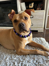 Load image into Gallery viewer, Chunky Mystic Purple Acrylic Bead Collar
