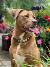 Load image into Gallery viewer, Mossy Meadow Bead Collar