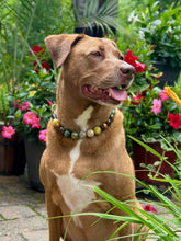Load image into Gallery viewer, Mossy Meadow Bead Collar