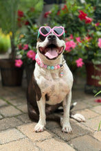 Load image into Gallery viewer, *NEW* Enamel Dog Personalized Name Tags