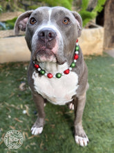 Load image into Gallery viewer, Christmas Stardust Bead Collar