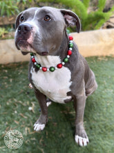 Load image into Gallery viewer, Christmas Stardust Bead Collar