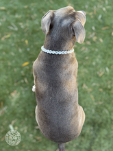 Load image into Gallery viewer, Mini Phone Number Beads + Mini Bead Collar