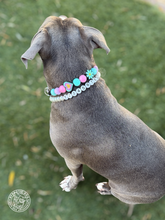 Load image into Gallery viewer, Mini Phone Number Beads + Mini Bead Collar