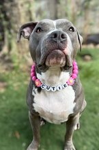 Load image into Gallery viewer, PERSONALIZED Pink Daisy Bead Collar