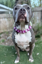 Load image into Gallery viewer, PERSONALIZED Violet Daisy Bead Collar