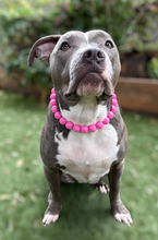 Load image into Gallery viewer, Watermelon Pink Acrylic Bead Collar
