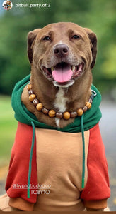 Woodland Bead Collar