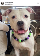 Load image into Gallery viewer, Midnight Cauldron Halloween Glow Bead Collar