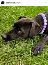 Load image into Gallery viewer, Lavender Hearts Bead Collar