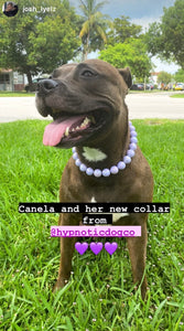 Lavender Rain Acrylic Bead Collar [Scuffed]