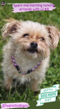 Load image into Gallery viewer, Mini Orchid Purple Pearl [Small Dog/Cat Bead Collar]