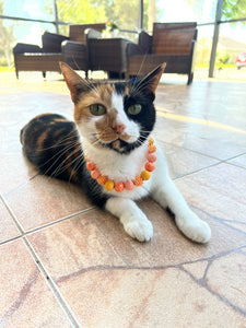 Tahitian Sunset MINI [Small Dog/Cat Bead Collar]