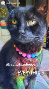 Neon Rainbow MINI [Small Dog/Cat Bead Collar]