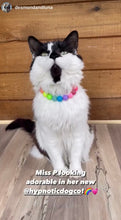 Load image into Gallery viewer, Neon Rainbow MINI [Small Dog/Cat Bead Collar]