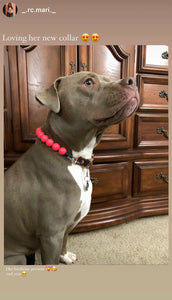 Neon Coral Acrylic Bead Collar