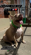 Load image into Gallery viewer, Neon Green Acrylic Bead Collar