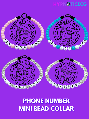 Mini Phone Number Bead Collar