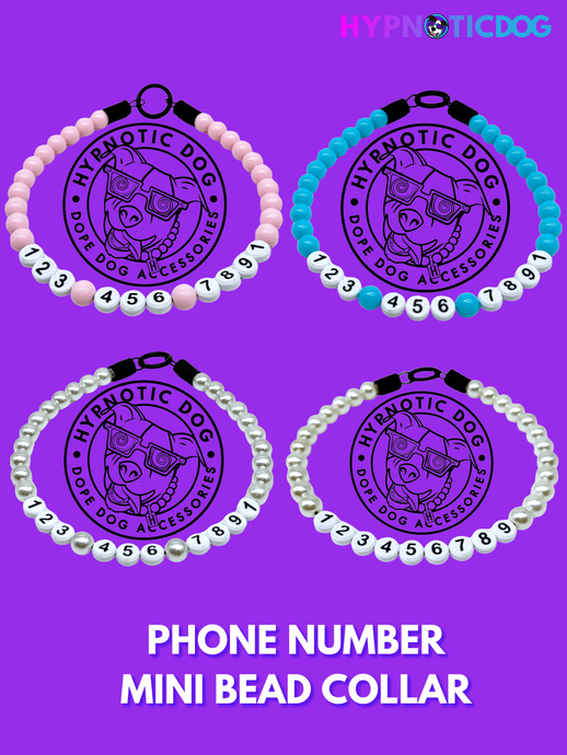 Mini Phone Number Beads + Mini Bead Collar