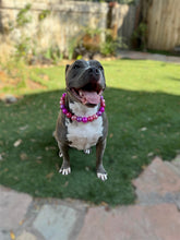 Load image into Gallery viewer, Chunky Pink Horizon Pearls Acrylic Bead Collar