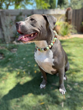 Load image into Gallery viewer, Yoda Bead Collar