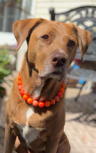 Load image into Gallery viewer, Orange Ombre Acrylic Bead Collar