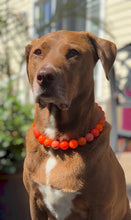 Load image into Gallery viewer, Orange Ombre Acrylic Bead Collar