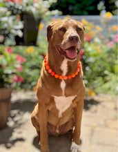 Load image into Gallery viewer, Orange Ombre Acrylic Bead Collar
