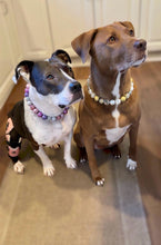 Load image into Gallery viewer, Winter Plum Bead Collar
