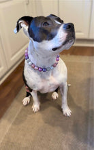 Load image into Gallery viewer, Winter Plum Bead Collar