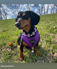 Load image into Gallery viewer, 🟧 18" Slip On (Black O-Ring) Pink &amp; Purple Crystal Flowers 🌸 Acrylic Bead Collar - PRE-MADE/FINAL SALE