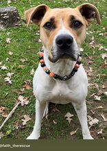 Load image into Gallery viewer, PERSONALIZED Pumpkin Spice Halloween Bead Collar