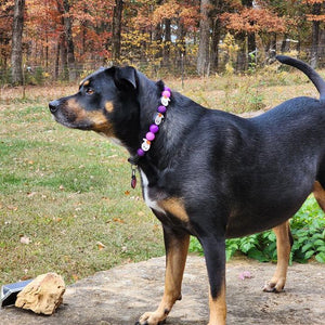 Purple Boo 👻 Halloween Glow Bead Collar