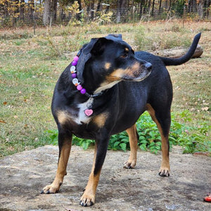 Purple Boo 👻 Halloween Glow Bead Collar